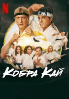 Кобра Кай смотреть онлайн сериал 1-6 сезон