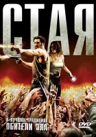 Стая смотреть онлайн (2009)